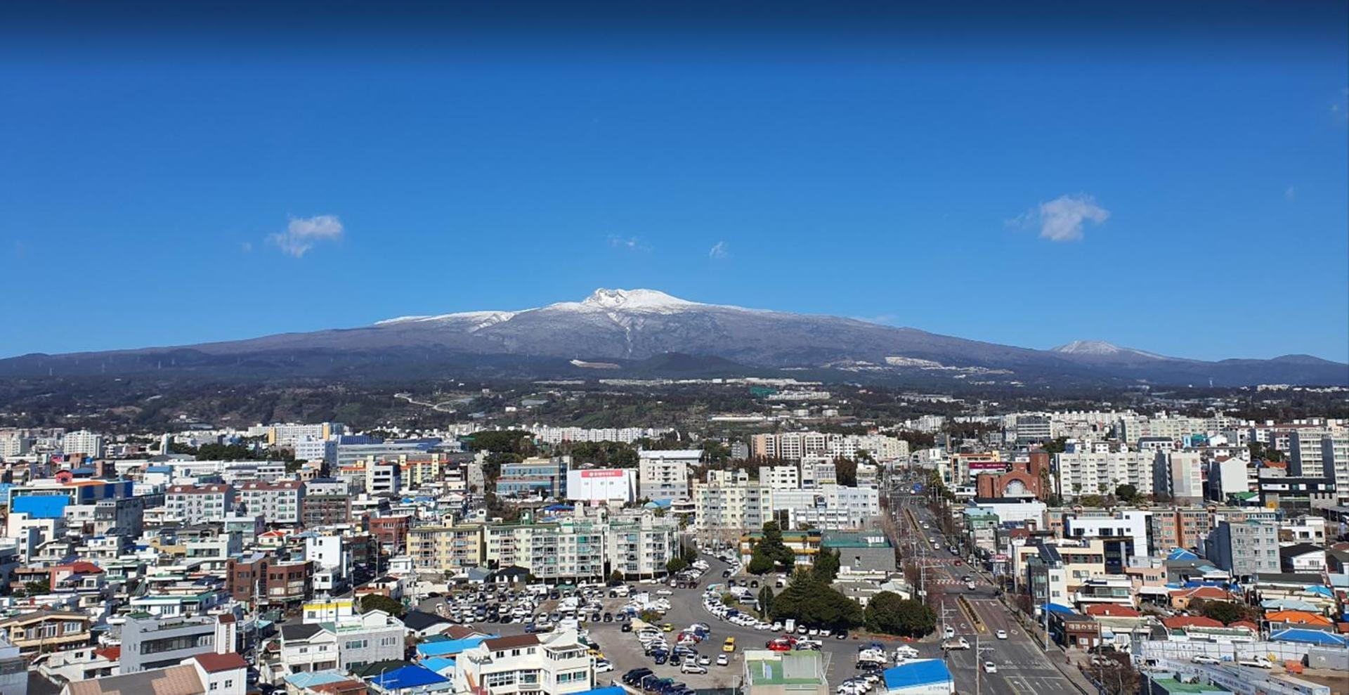 Golden Daisy Hotel Seogwipo Dış mekan fotoğraf