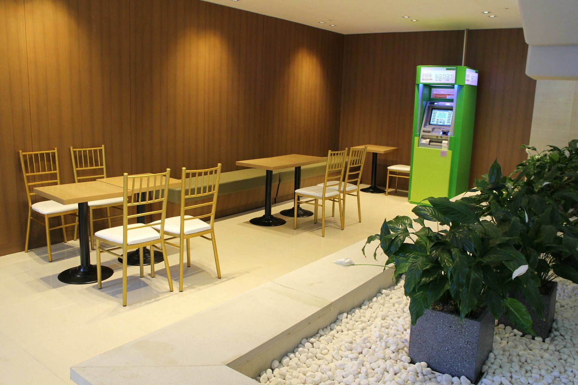Golden Daisy Hotel Seogwipo Dış mekan fotoğraf